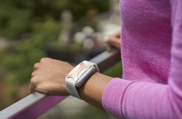 Agnes: Can a Wearable Device Reduce Stress?